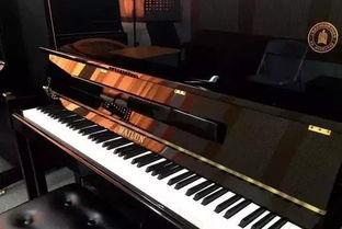 国产上海钢琴视频